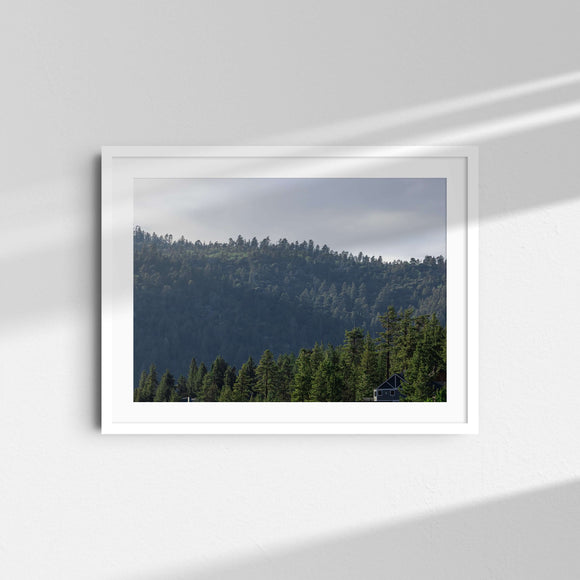 A landscape framed fine art photography print featuring pine trees in Big Bear, California.