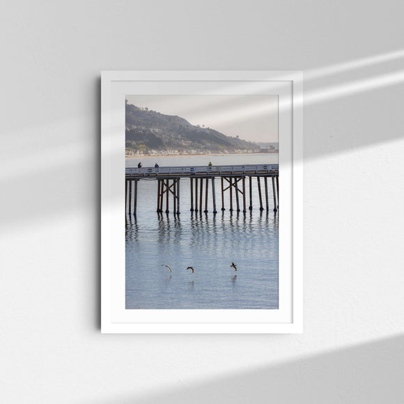 A framed fine art photography print featuring birds flying in front of the Malibu Pier in California.