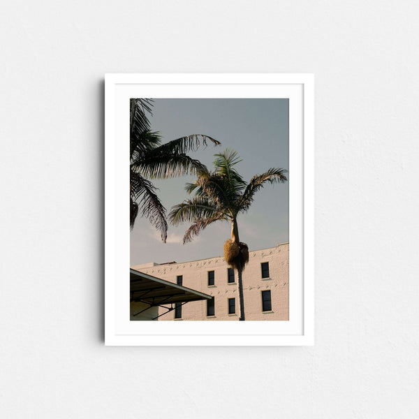 A framed fine art photography print featuring palm trees against a building in Santa Barbara, California.