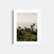 A framed fine art photography print featuring palm trees and blue ocean.