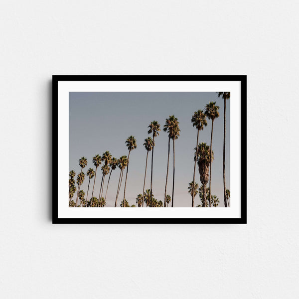 A framed fine art photography print featuring a row of palm trees against blue sky in Santa Barbara, California.