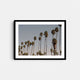 A framed fine art photography print featuring a row of palm trees against blue sky in Santa Barbara, California.