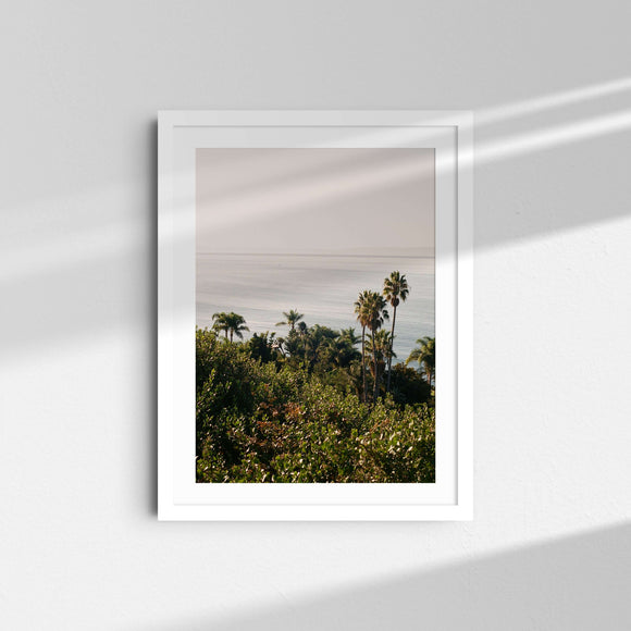 A framed fine art photography print featuring palm trees and blue ocean.